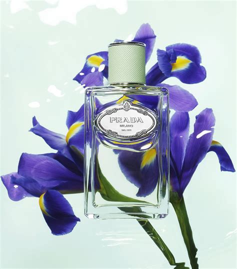 equivalenza iris de prada|Infusion d'Iris Prada perfume .